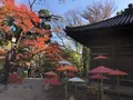 川越大師 喜多院の写真_332285
