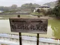 比翼塚の写真_332295