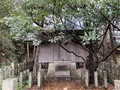 おのころ神社の写真_332546