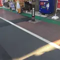 巣鴨地蔵通り商店街の写真_332850