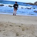 桜井二見ケ浦の写真_333247