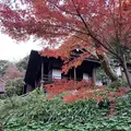 三溪園の写真_333341
