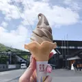 マルキン醤油記念館の写真_333409