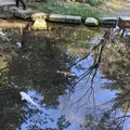 尾山神社の写真_333521
