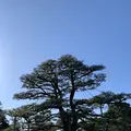 兼六園の写真_333525