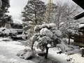 高山陣屋の写真_333741