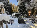 気多若宮神社の写真_333743
