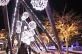 函館駅の写真_333816