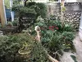 めぐみ荘の写真_333939