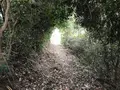 子浦三十三観音の写真_333971