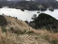 子浦三十三観音の写真_333979