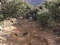 子浦三十三観音の写真_333985