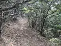 子浦三十三観音の写真_333987