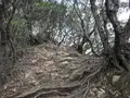 子浦三十三観音の写真_333989