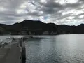 子浦三十三観音の写真_333996