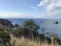 奥石廊海岸の写真_334013