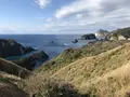 奥石廊海岸の写真_334020