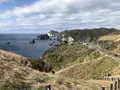 奥石廊海岸の写真_334021