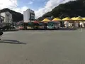 蓑掛岩の写真_334065
