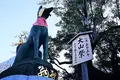 伏見稲荷大社の写真_334158