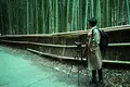 嵐山 竹林の小径の写真_334180