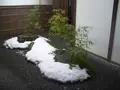 三千院の写真_334351