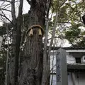 梨木神社の写真_334401