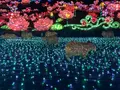 伊豆ぐらんぱる公園の写真_334426