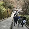 清水寺の写真_334574