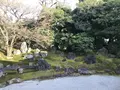 圓徳院の写真_335027