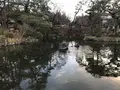 円山公園の写真_335033