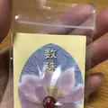 清水寺の写真_335048