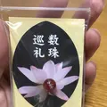 六道珍皇寺の写真_335053