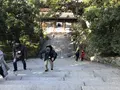 知恩院の写真_335094