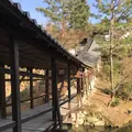 高台寺の写真_335119