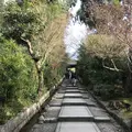 高台寺の写真_335121