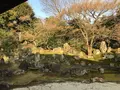 圓徳院の写真_335127