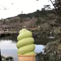 円山公園の写真_335131