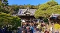 修禅寺の写真_335132