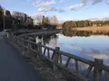 唐桶溜の写真_335158