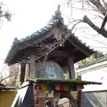 長建寺の写真_335273