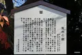小松屋本家の写真_335297