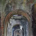南禅寺の写真_335438