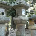 春日大社の写真_335893