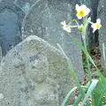 元興寺の写真_335922