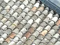 元興寺の写真_335923