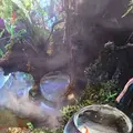 奈良金魚ミュージアムの写真_336189