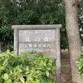 糺ノ森の写真_336946