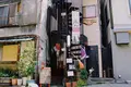谷中ジンジャーの写真_337387