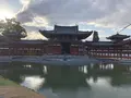 平等院の写真_337503